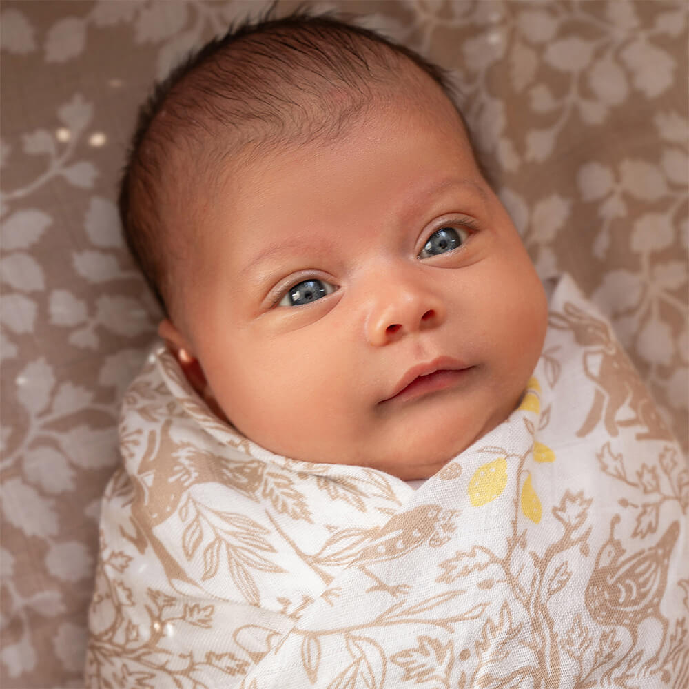 aden + anais] シルキーソフトおくるみ - 3枚セット ／ナチュラル