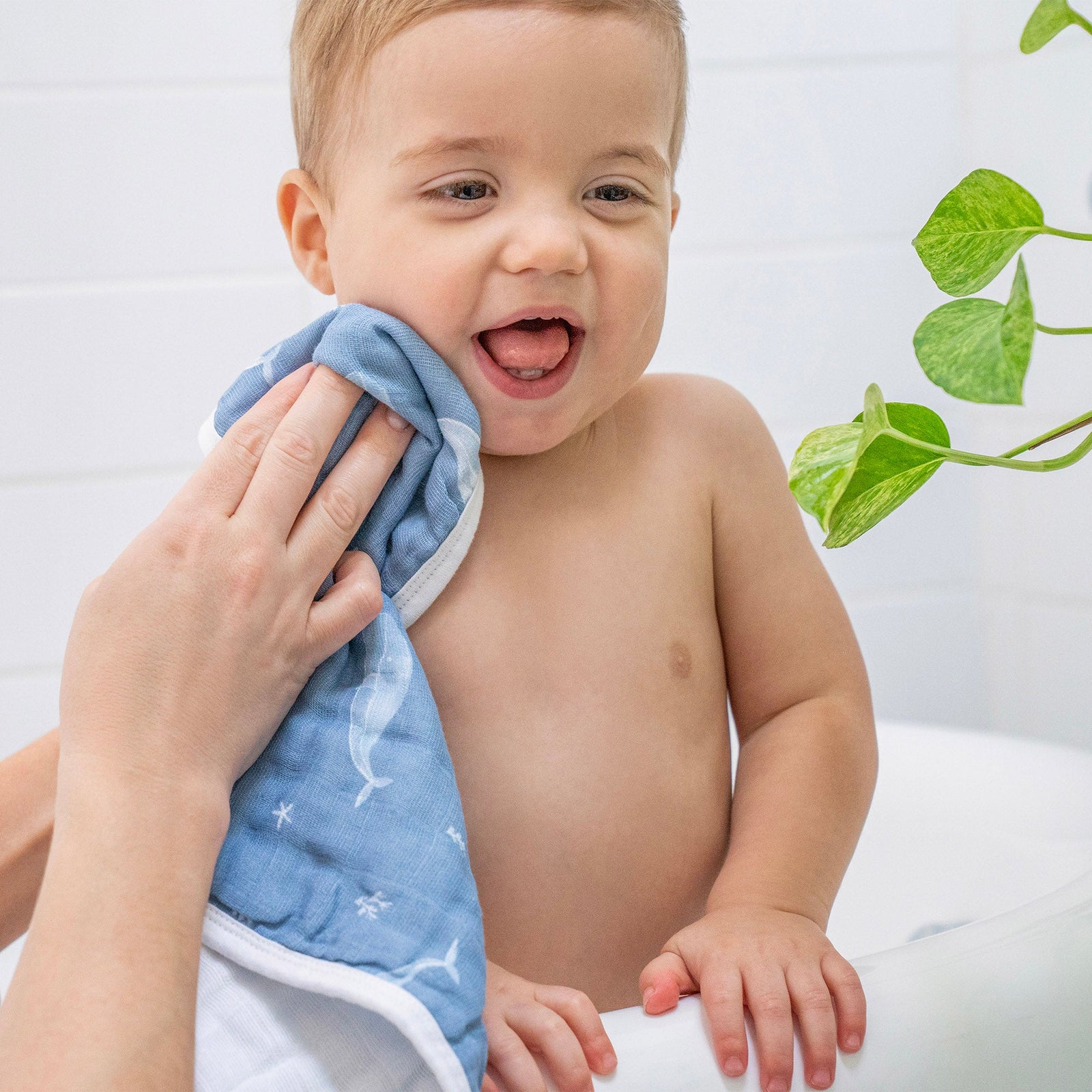 aden + anais] オーガニックお口拭き - 3枚セット