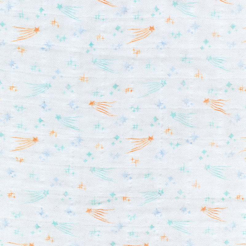 [aden + anais] ウォッシュクロス（お口拭き） 3枚セット - イヤー オブ ザ ホース