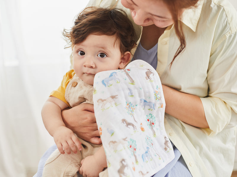 [aden + anais] ウォッシュクロス（お口拭き） 3枚セット - イヤー オブ ザ ホース