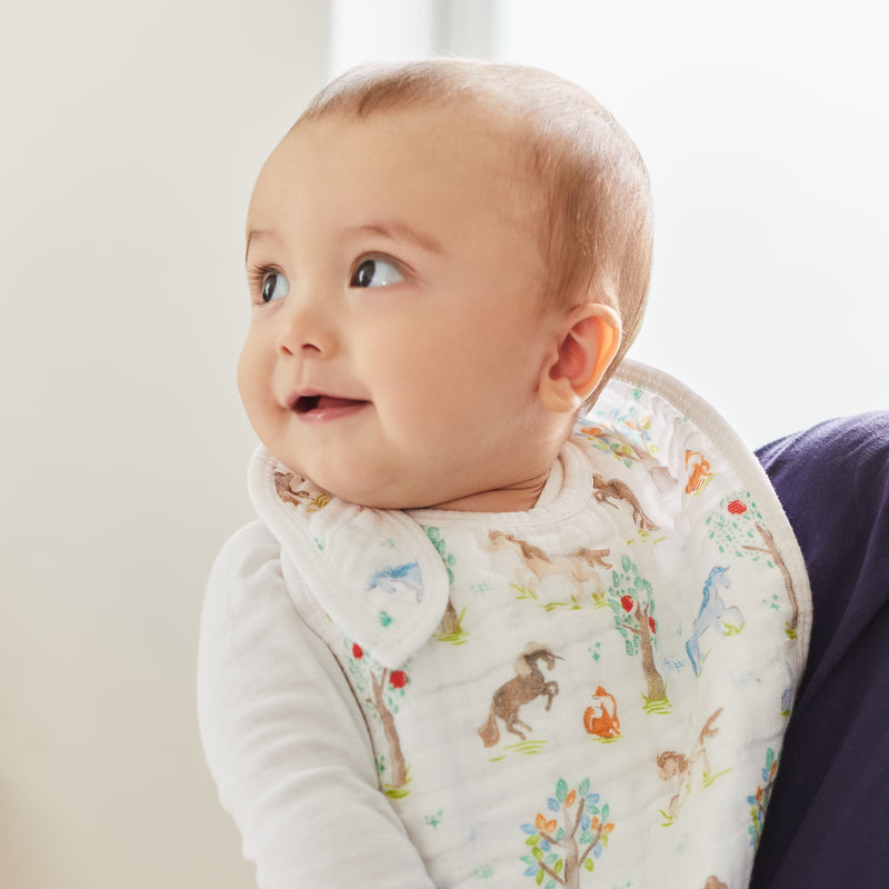 【名入れ】[aden + anais] スナップビブ（よだれかけ） - 3枚セット／イヤー オブ ザ ホース×Gold・Silver糸