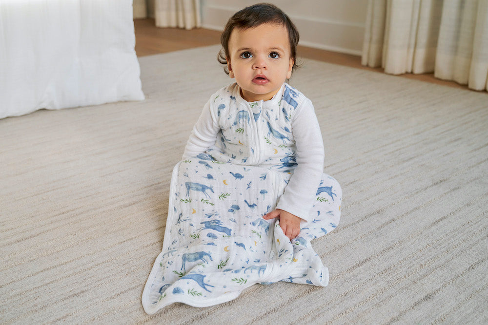 スリーパーの出産祝い人気おすすめ｜aden&anais（エイデンアンドアネイ）オーガニックスリーパー／ アウトドアーズ